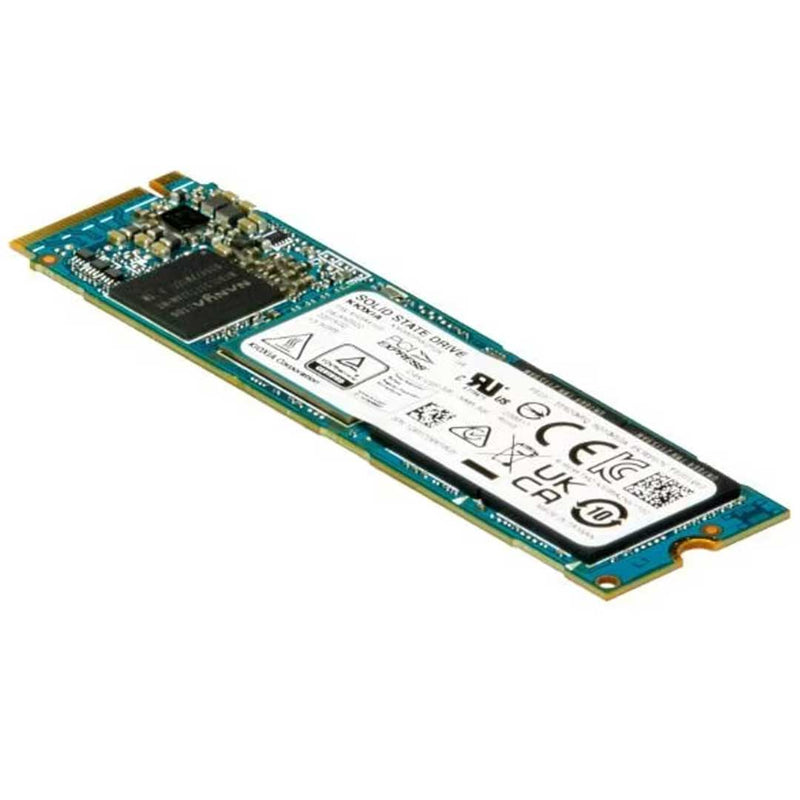 Dell Enterprise Class 800GB M.2 (22110) NVMe SSD