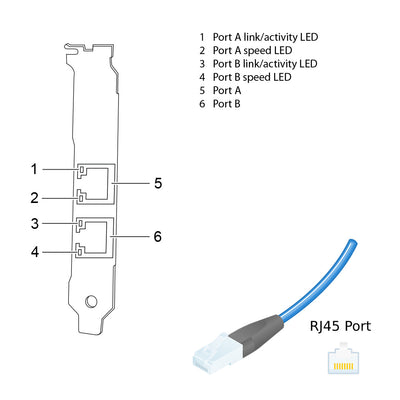 NetApp Adapter X1039A-R6 (ONTAP) 1Gb PCIe bus with plug RJ45 (2p 1GbE NIC Cu)