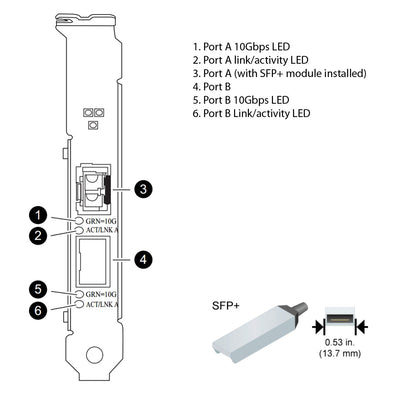 NetApp Adapter X1117A-R6 (ONTAP) 10Gb PCIe bus with plug SFP+ (2p 10GbE NIC Cu|Op)