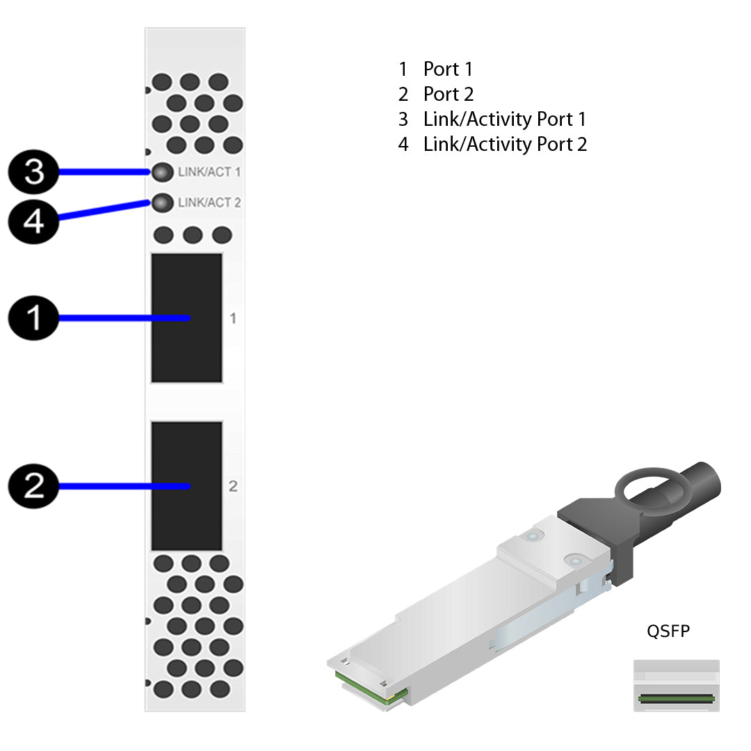 NetApp Adapter X1146A (ONTAP) PCIe3 bus with plug QSFP28 (2p 100GbE iWARP QSFP28)