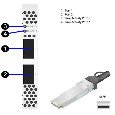 NetApp Adapter X1146A (ONTAP) PCIe3 bus with plug QSFP28 (2p 100GbE iWARP QSFP28)