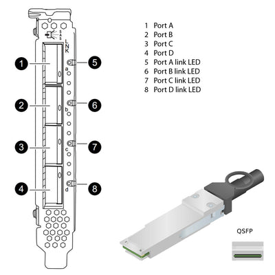 NetApp Adapter X2069-R6 (ONTAP) 2Gb PCIe bus with plug QSFP (4p 12Gb SAS Cu|Op)