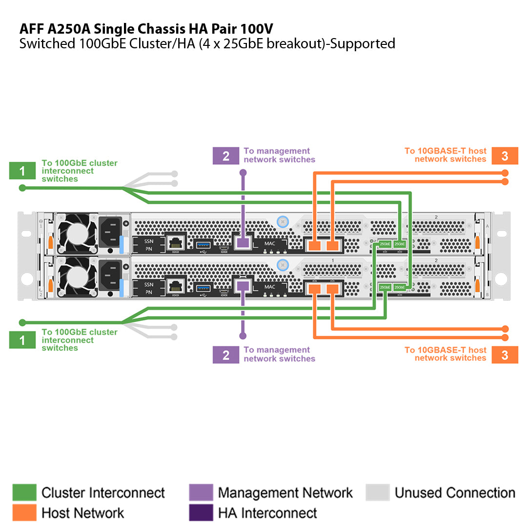 NetApp AFF A250 100V Single Chassis HA Pair Filer Head (AFF-A250A-100V)