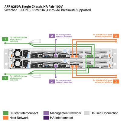 NetApp AFF A250 100V Single Chassis HA Pair Filer Head (AFF-A250A-100V)