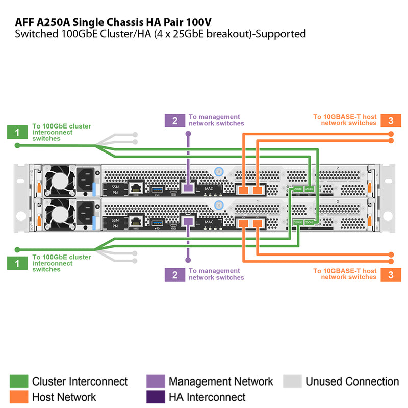 NetApp AFF A250 100V Single Chassis HA Pair Filer Head (AFF-A250A-100V)