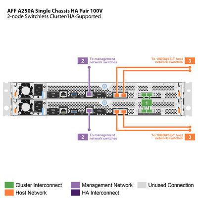 NetApp AFF A250 100V Single Chassis HA Pair Filer Head (AFF-A250A-100V)