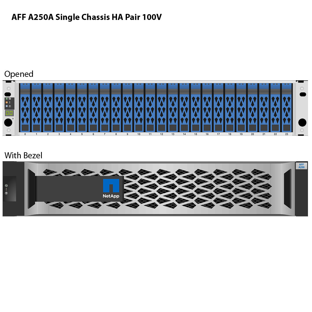 NetApp AFF A250 100V Single Chassis HA Pair Filer Head (AFF-A250A-100V)