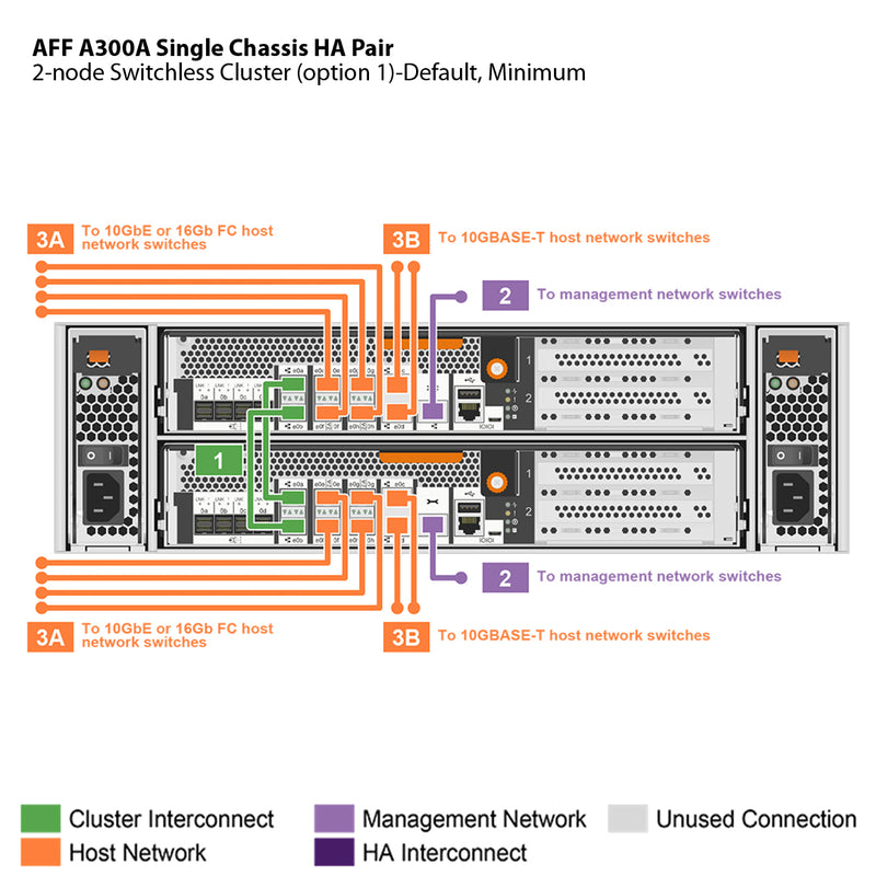 NetApp AFF A300 Single Chassis HA Pair Filer Head (AFF-A300A)