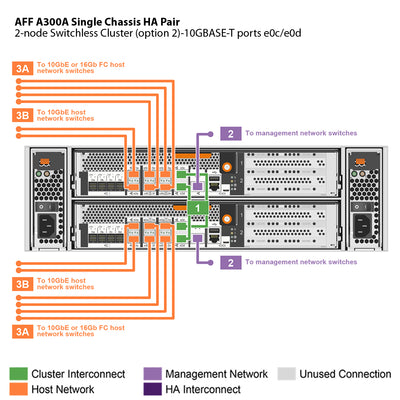 NetApp AFF A300 Single Chassis HA Pair Filer Head (AFF-A300A)