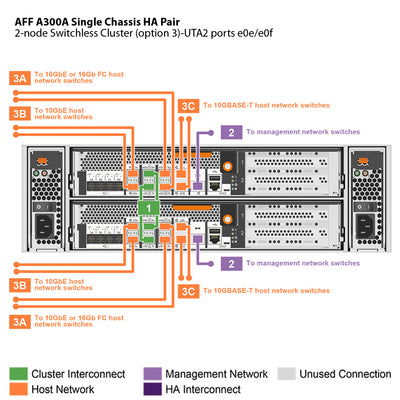 NetApp AFF A300 Single Chassis HA Pair Filer Head (AFF-A300A)