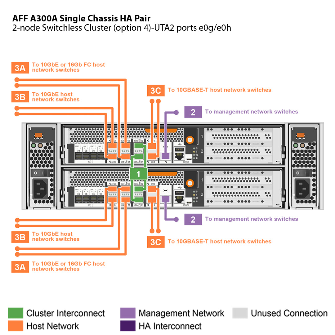 NetApp AFF A300 Single Chassis HA Pair Filer Head (AFF-A300A)