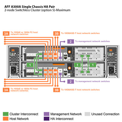 NetApp AFF A300 Single Chassis HA Pair Filer Head (AFF-A300A)