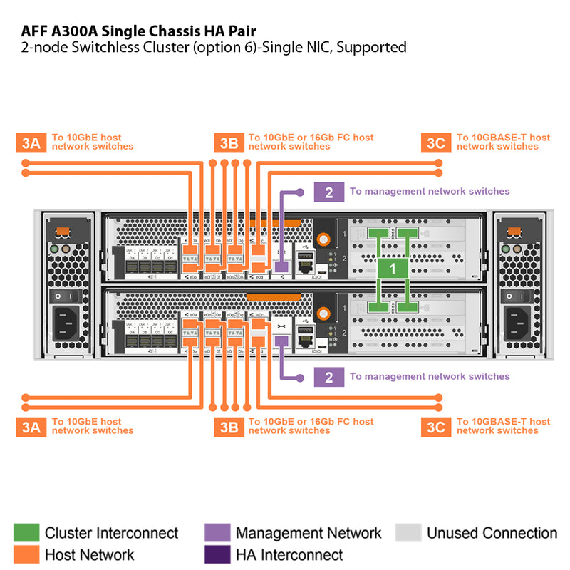 NetApp AFF A300 Single Chassis HA Pair Filer Head (AFF-A300A)