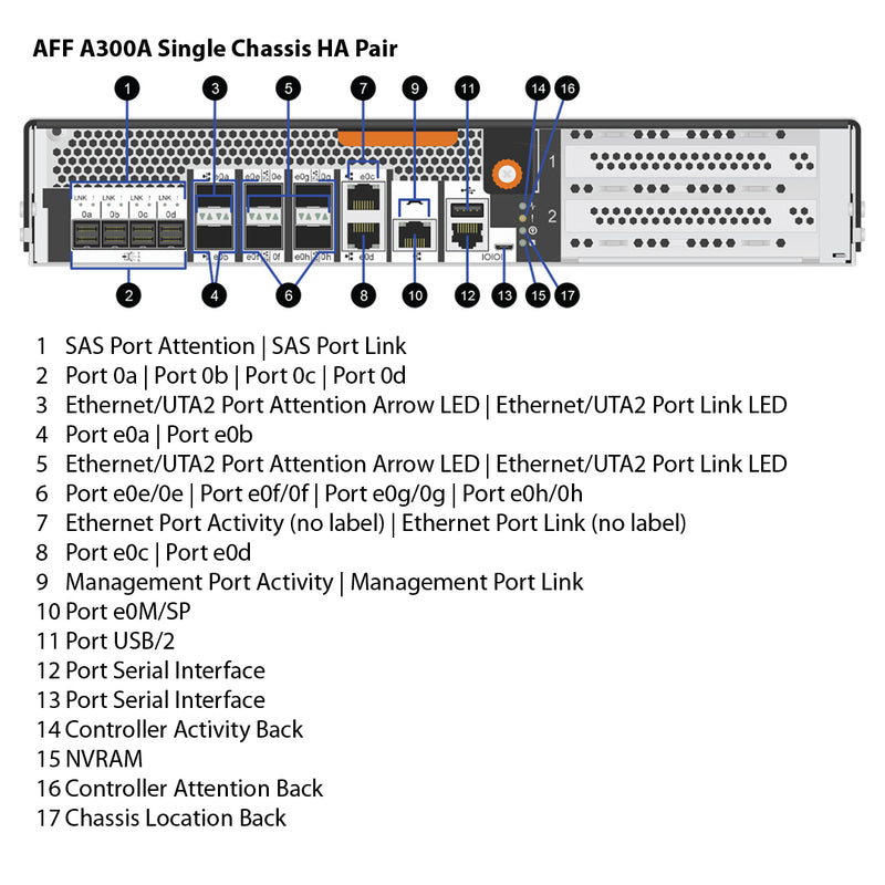 NetApp AFF A300 Single Chassis HA Pair Filer Head (AFF-A300A)