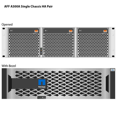NetApp AFF A300 Single Chassis HA Pair Filer Head (AFF-A300A)