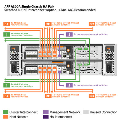 NetApp AFF A300 Single Chassis HA Pair Filer Head (AFF-A300A)
