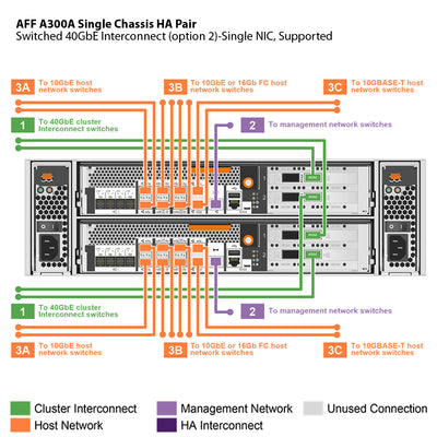 NetApp AFF A300 Single Chassis HA Pair Filer Head (AFF-A300A)
