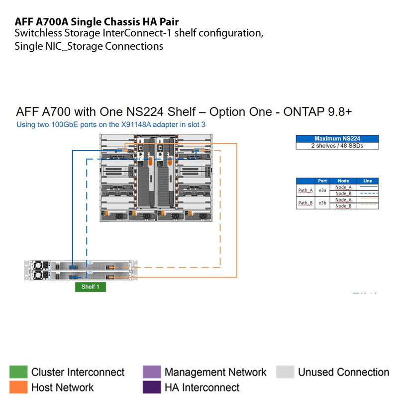 NetApp AFF A700 Single Chassis HA Pair Filer Head (AFF-A700A)