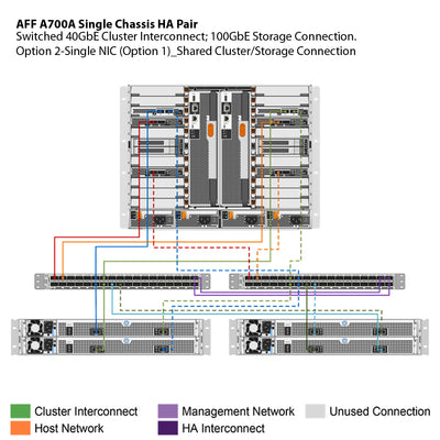 NetApp AFF A700 Single Chassis HA Pair Filer Head (AFF-A700A)