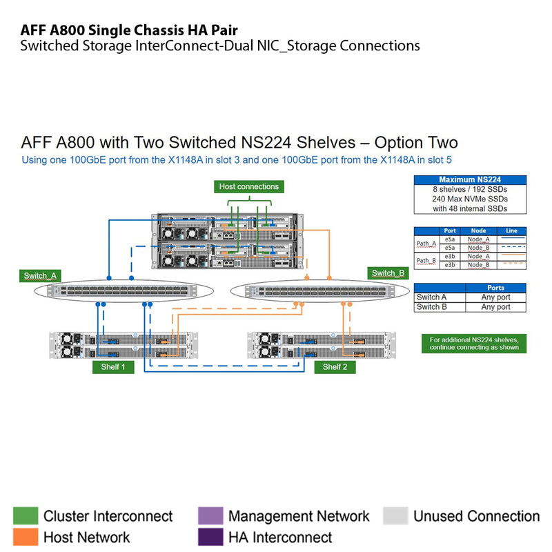 NetApp AFF A800 Single Chassis HA Pair Filer Head (AFF-A800A)