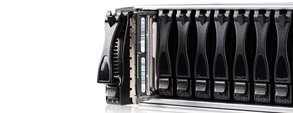 Netapp Storage Spare Disk Hard Drives