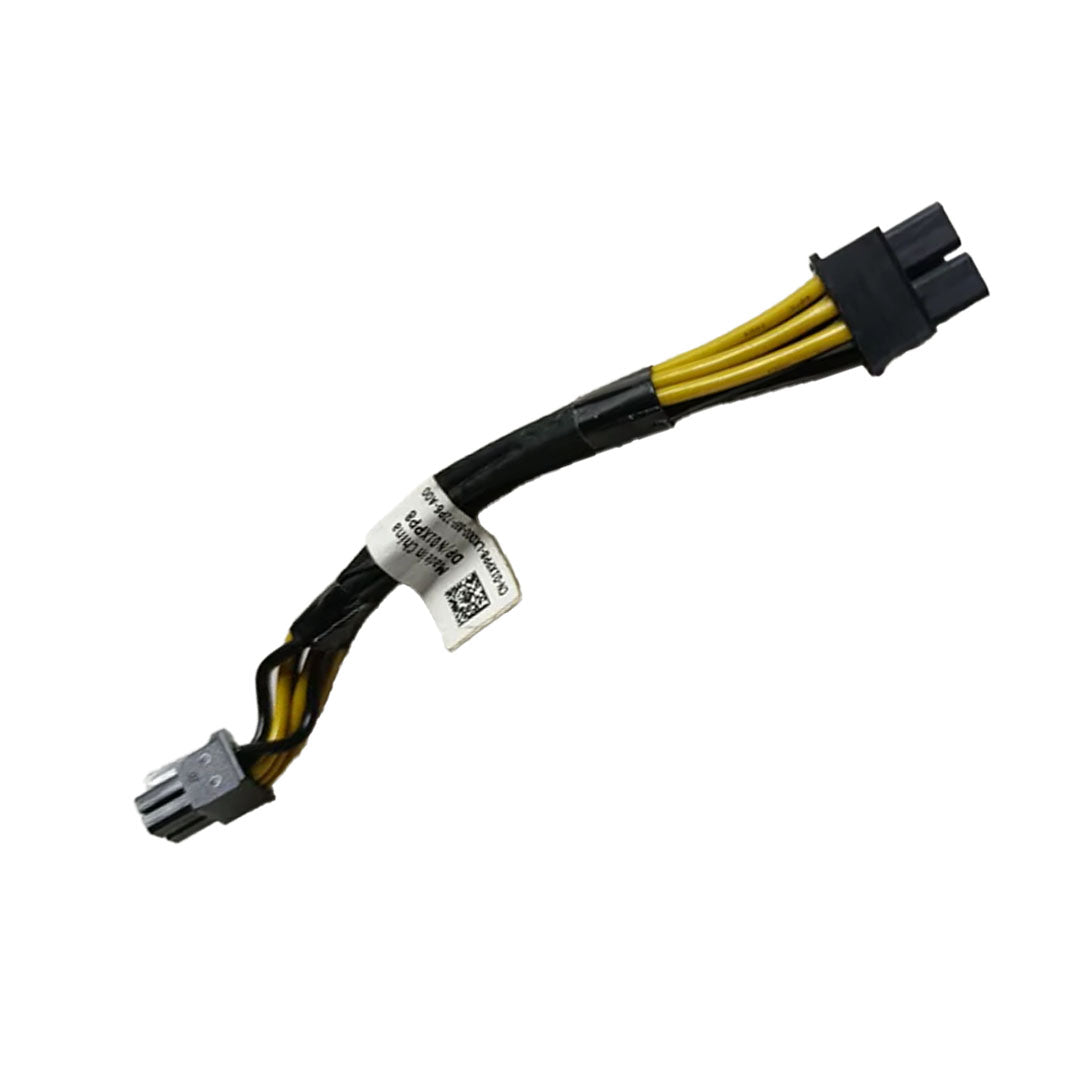 Dell 8-Pin Backplane Power Cable | 1XPP8