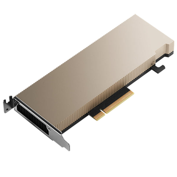 Dell 16GB NVIDIA Tesla A2 60W SW FH/HL GPU
