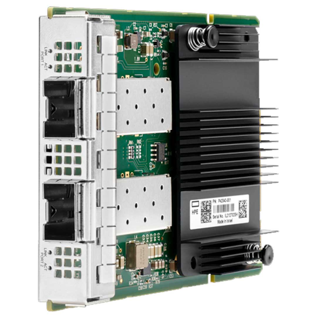 HPE Apollo 4200 Gen10 Plus Network Adapters Tagged 