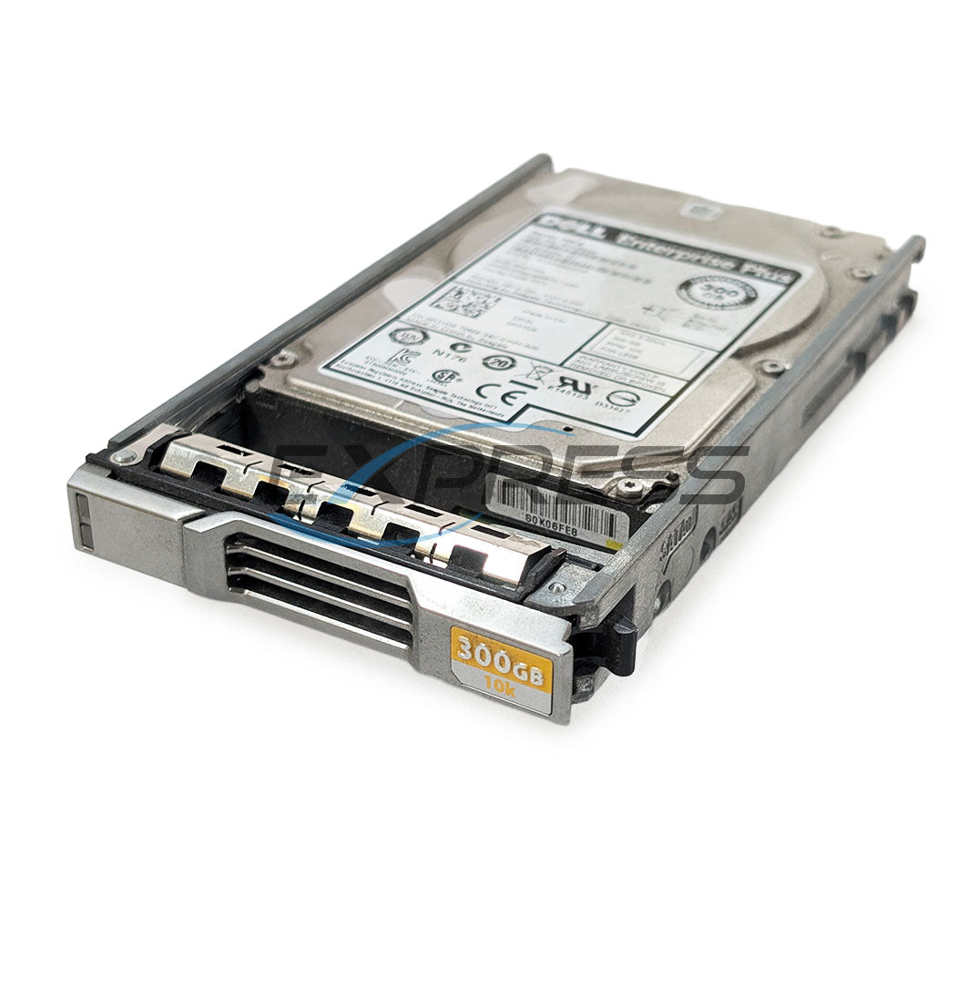 Dell 2.5" Equallogic 300GB 10K SAS 6Gbps HDD | R3YD9