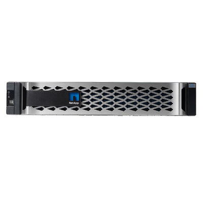 NetApp AFF-A250 Bezel | X80118A-C