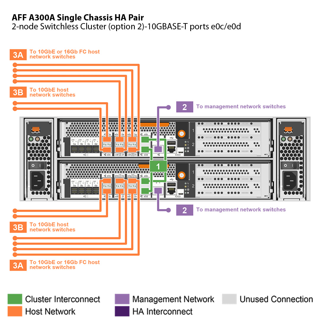 NetApp AFF A300 Single Chassis HA Pair Filer Head (AFF-A300A)