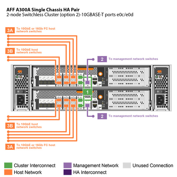 NetApp AFF A300 Single Chassis HA Pair Filer Head (AFF-A300A)