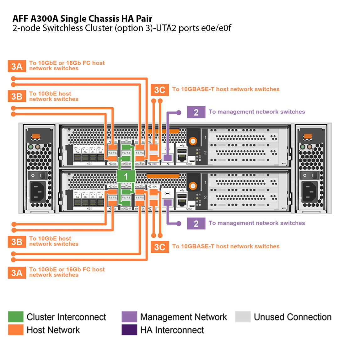 NetApp AFF A300 Single Chassis HA Pair Filer Head (AFF-A300A)