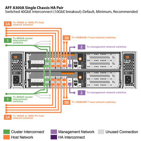 NetApp AFF A300 Single Chassis HA Pair Filer Head (AFF-A300A)