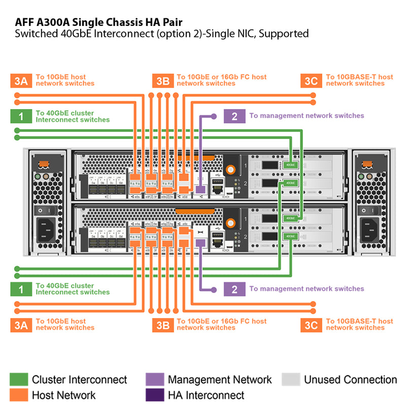 NetApp AFF A300 Single Chassis HA Pair Filer Head (AFF-A300A)