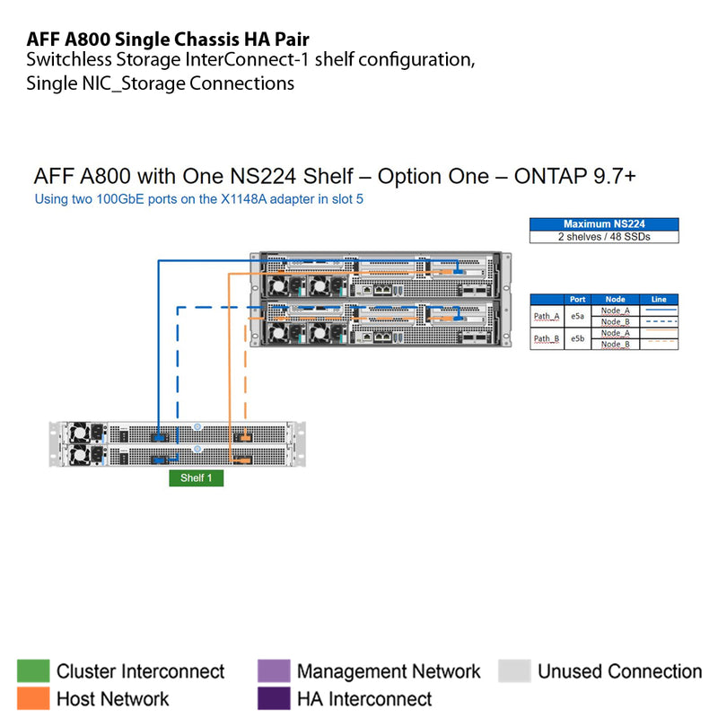 NetApp AFF A800 Single Chassis HA Pair Filer Head (AFF-A800A)